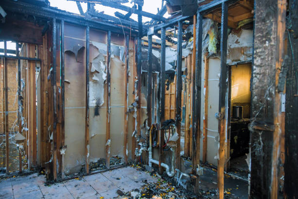 Professional Fire Damage Removal technician working in Farmville, NC
